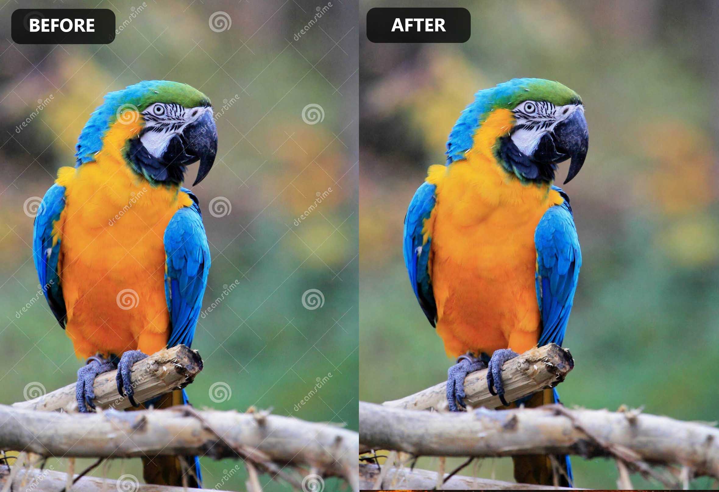 watermark removed photos