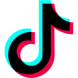 TikTok Logo
